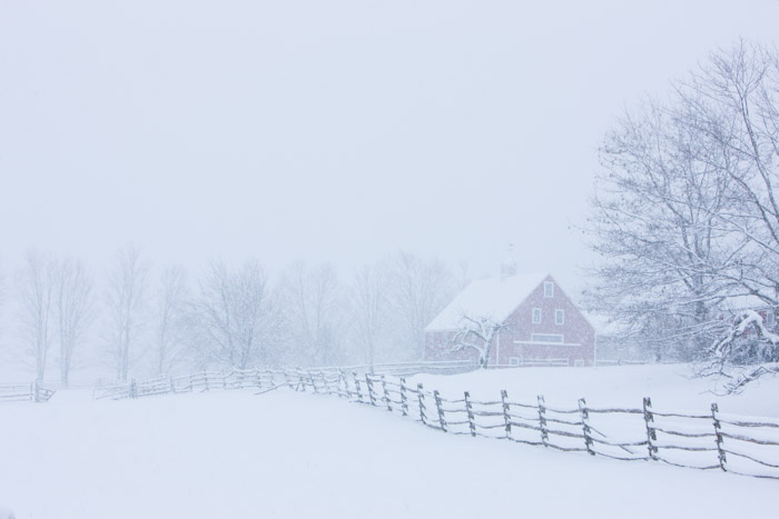 Colder Days,New Hampshire,Apple,Farm,last,Snow,Storm,Spring,Winter