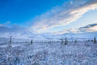 Denali Blues