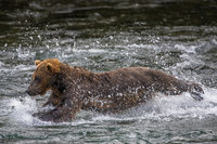 Diver Down