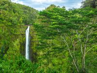 Akaka Falls-2