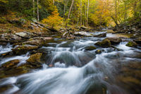 Autumn's Rush