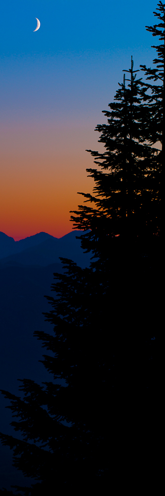 As day turns to night the crescent moon begins to shine bright.