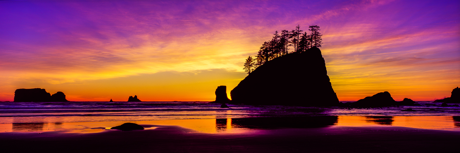 Scattered sea stacks rise like towers and the sands light up with the sky along the Washington coastline.