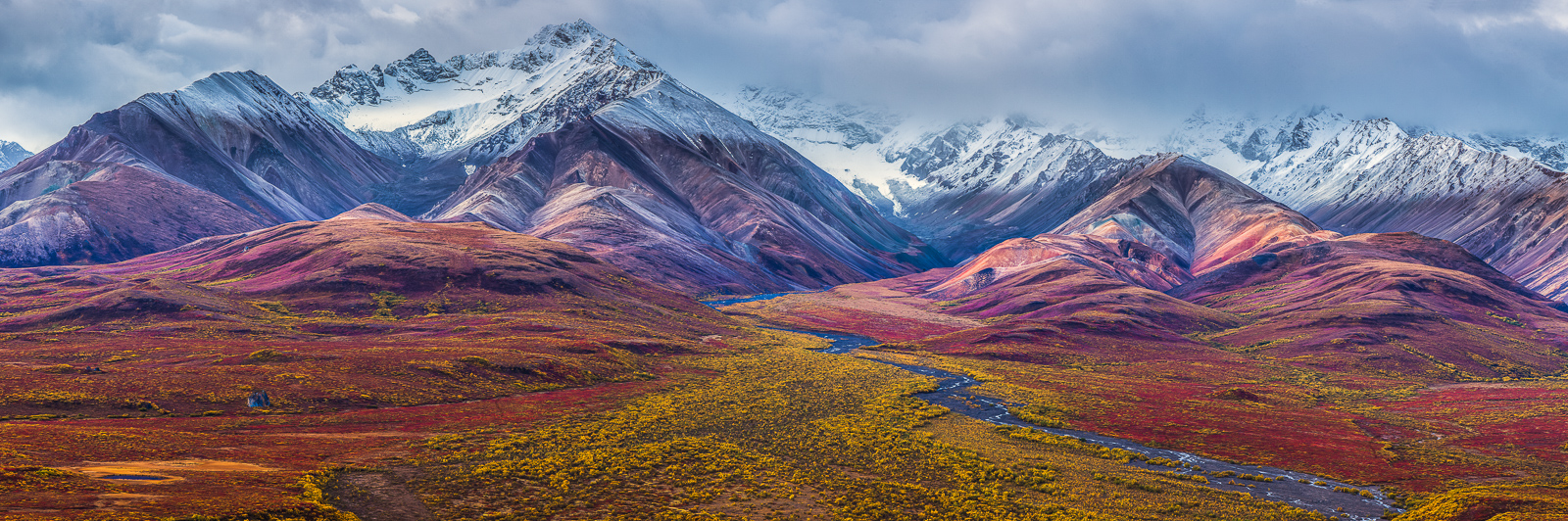 Polychrome Pass lit up with full tundra autumn foliage colors. Peak lasts for only a few days but when you catch it smiles are...