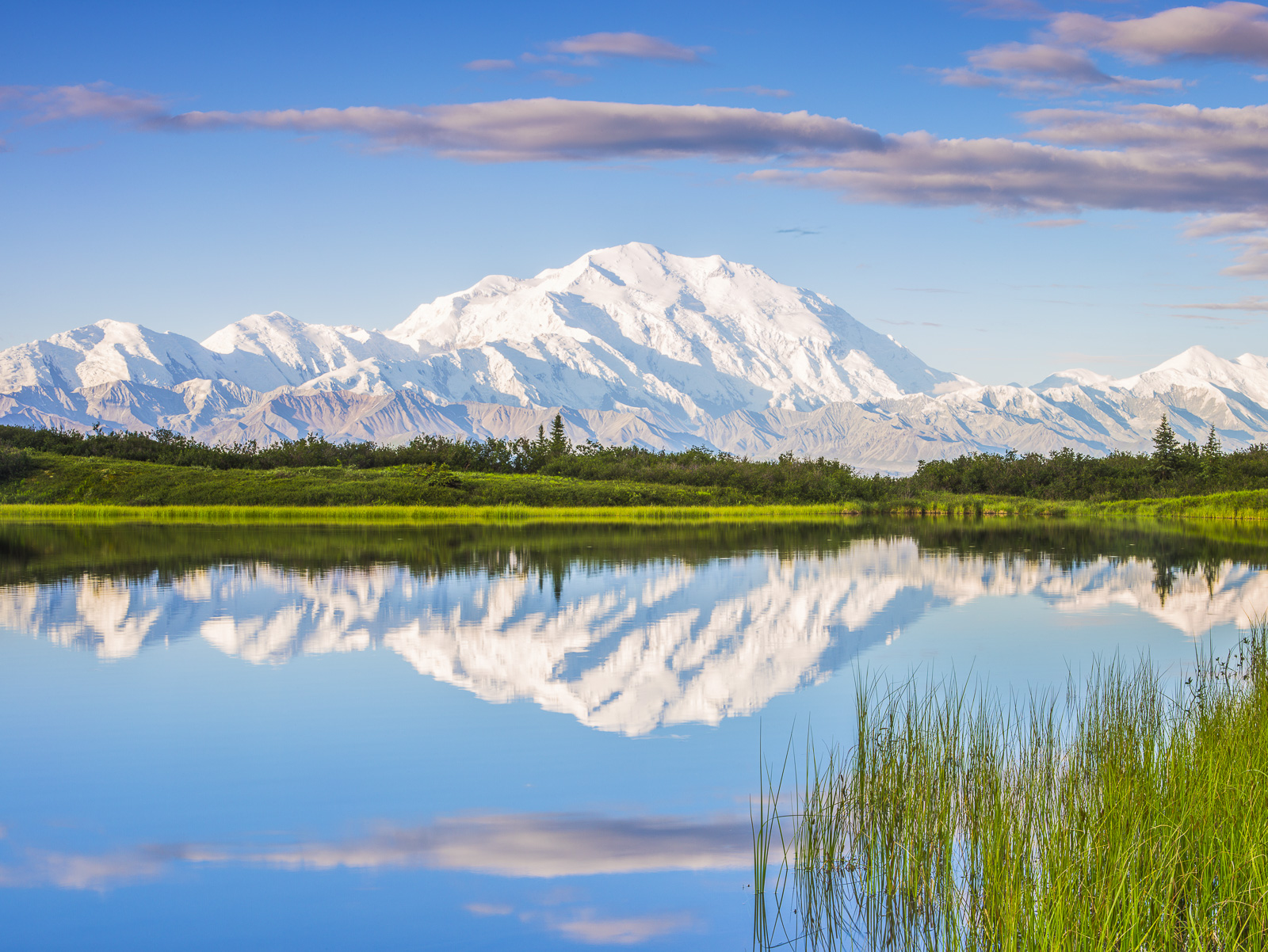 Reflection pond offers Mt Denali in a grandeur display of greens and blues of during a perfect spring morning. Breathing the...