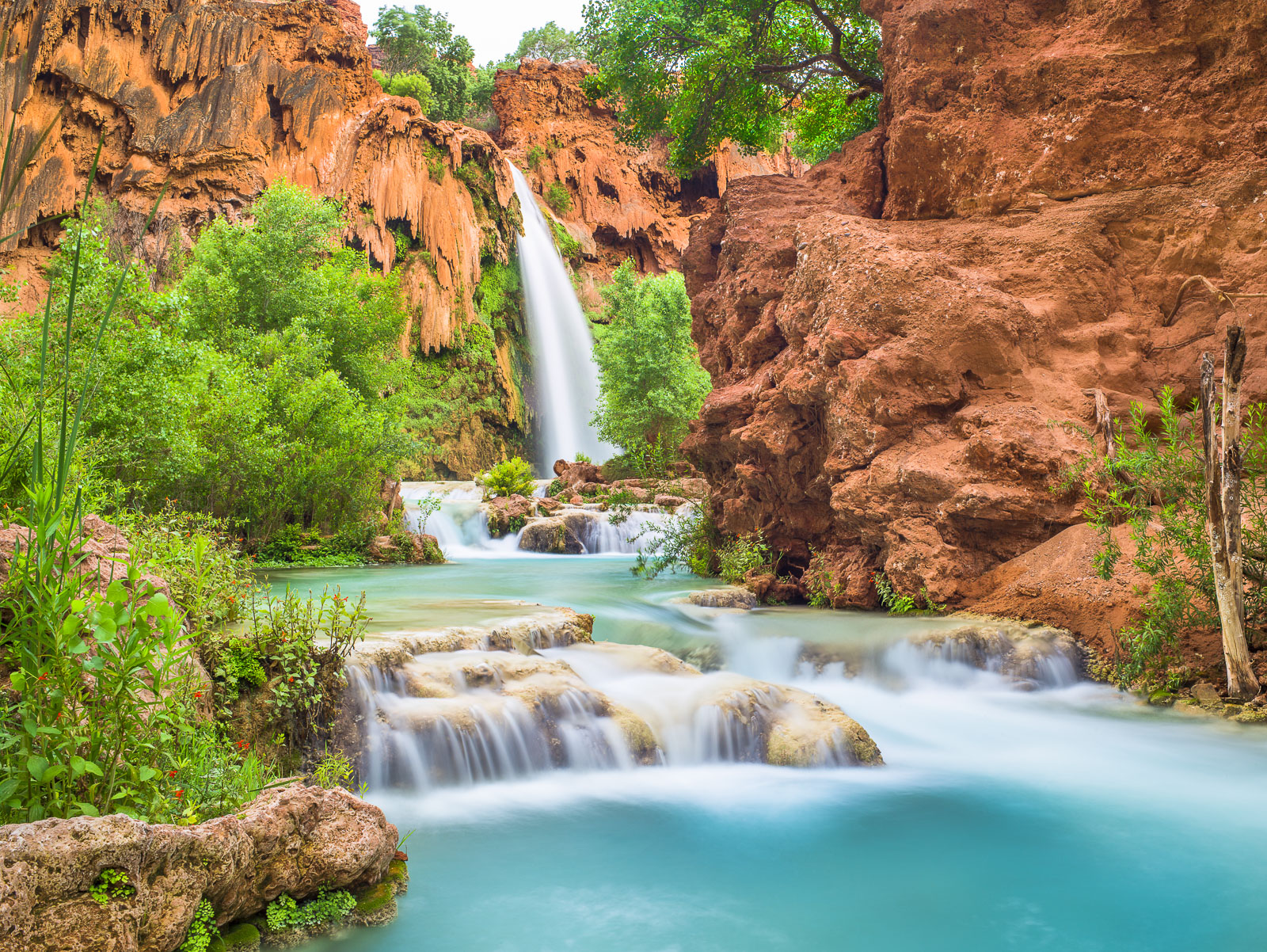 Havasu Falls is one of the desert's charished places. Spring time colors and the blue waters of this oasis makes one never want...