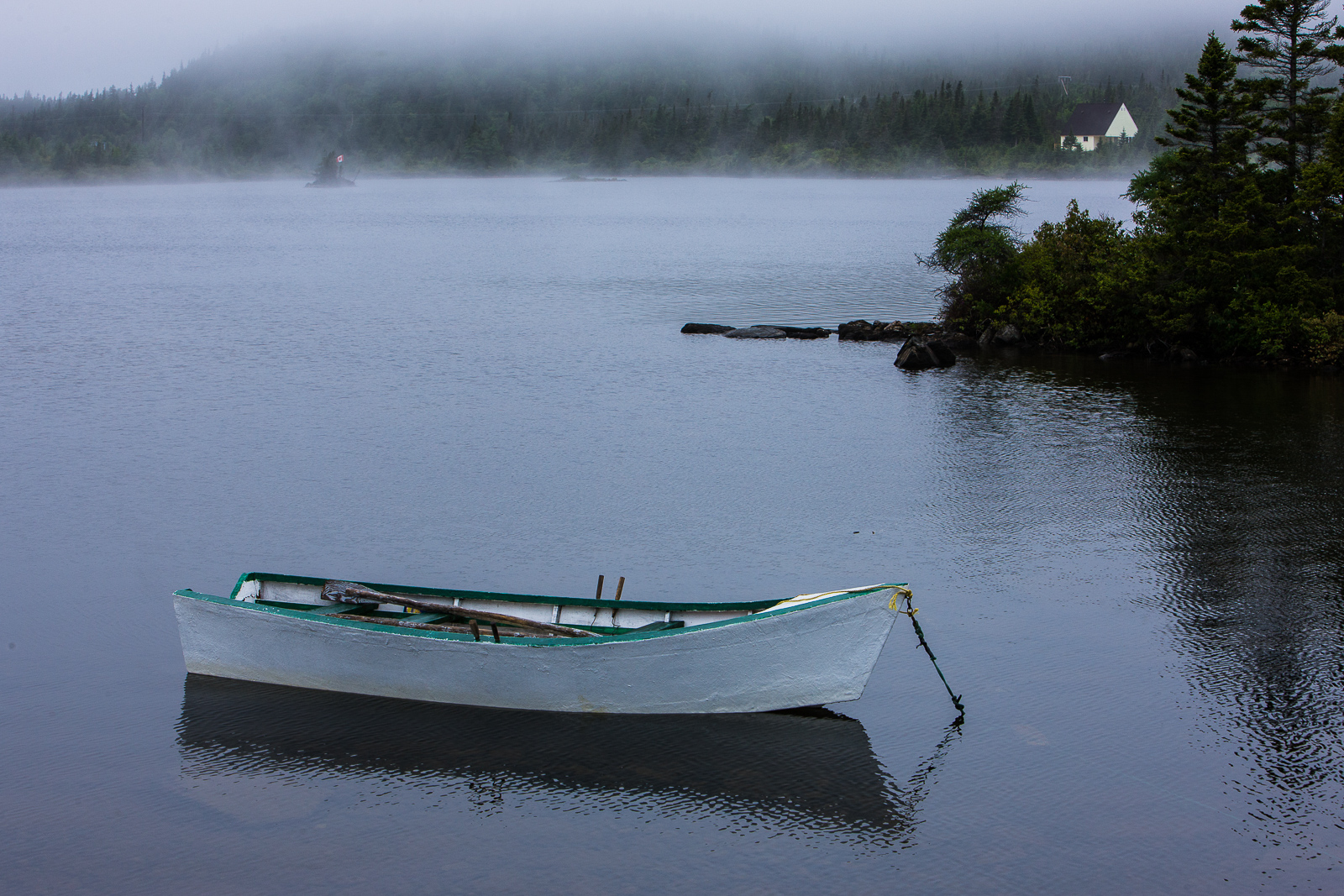 A foggy summer morning with whispers of summer fun.