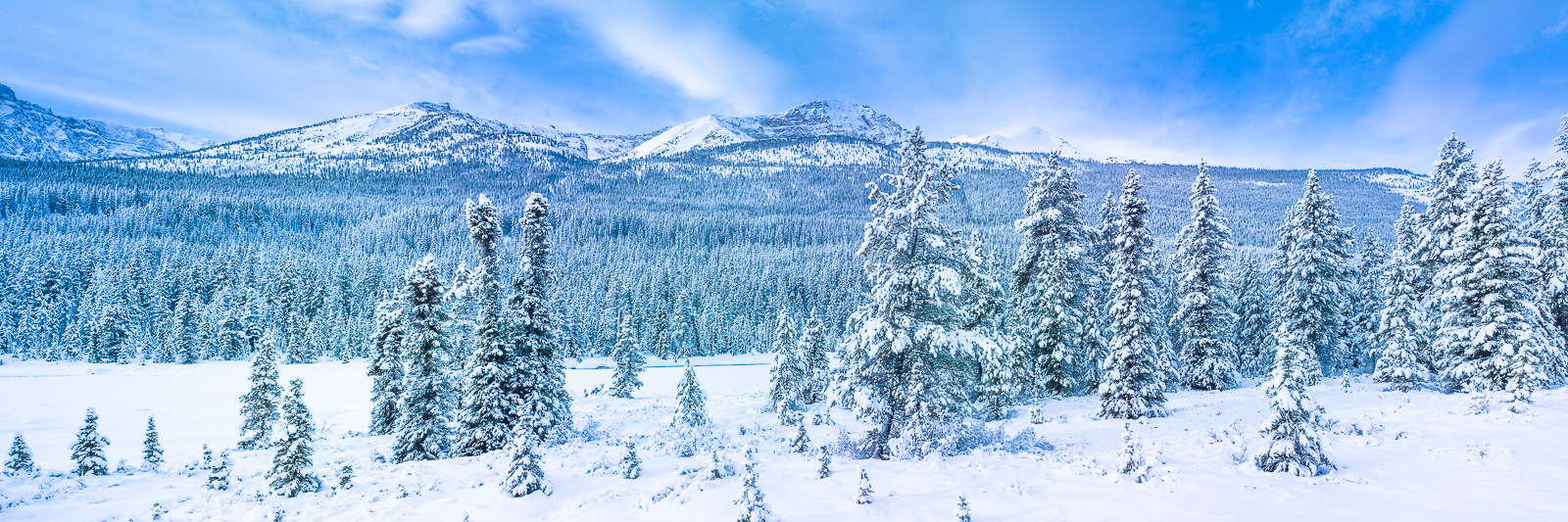 Jasper is blessed with receiving its fair share of the Canadian Rockies. Winter enters early in these northern regions. Back...