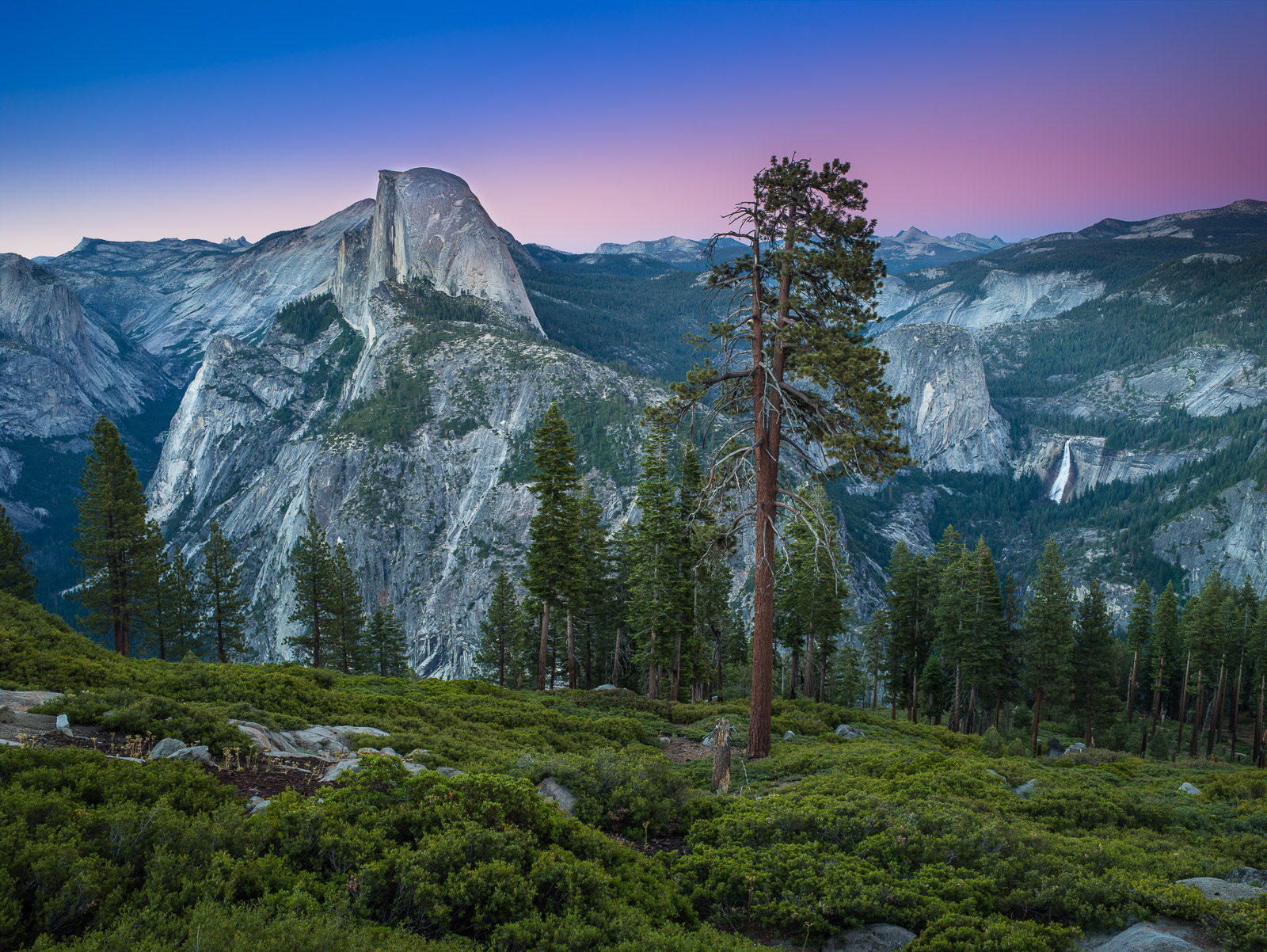 The sun has set. The hour of darkness encroaches. A single tree stands watch of Half Dome.
