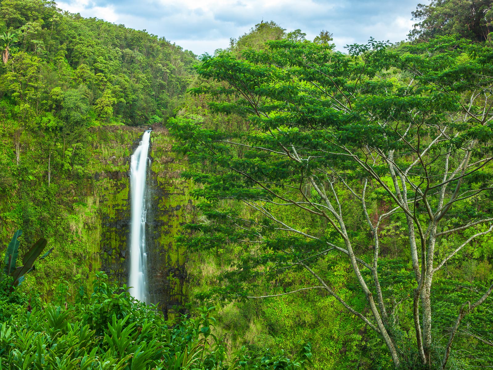 Escape to more ancient times of Hawaii. Lush green and clean waters soothe the soul.