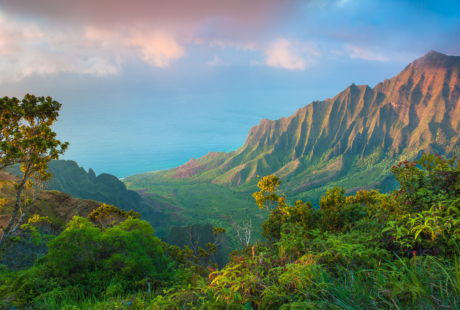 Kokee State Park full of tropical beauty and ocean hideaways.  Walking along some of the trails can be treacherous but rewarding...