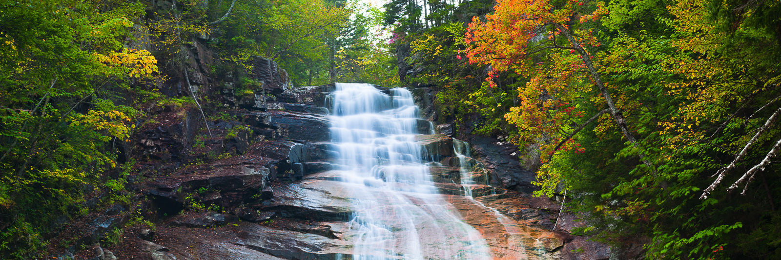 When the color changes at Ripley Falls I know autumn has begun. By Mid September the cool mornings of the White Mountains start...