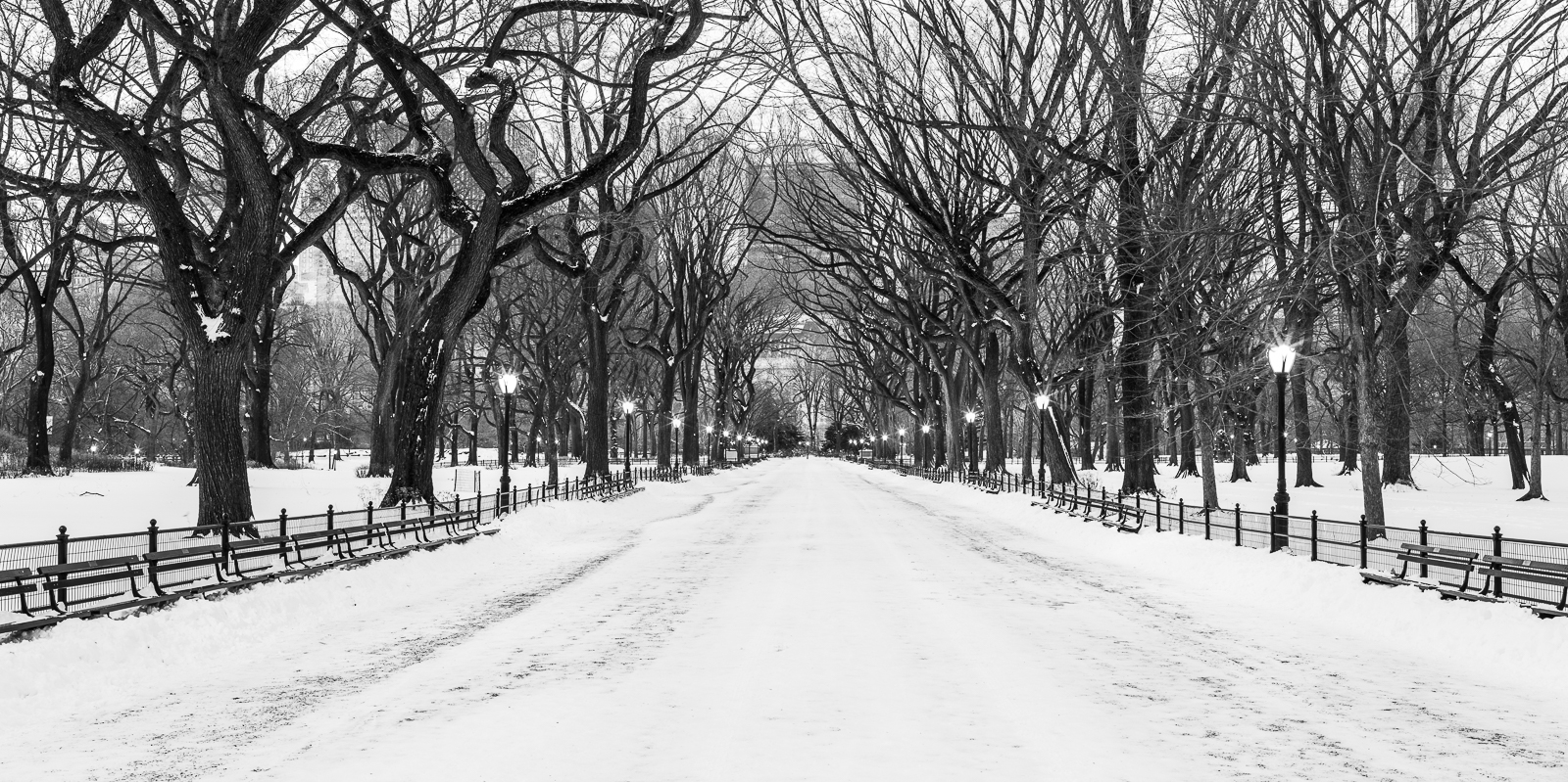 Fresh snow at Central Park kicks off the beginning of a new year on this cold January morning.   Walking the park in the quite...