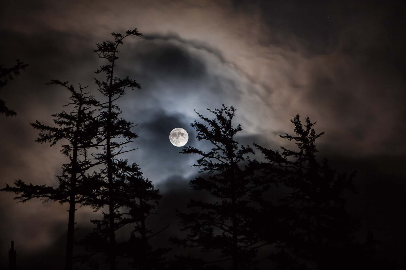 The moon framed by clouds and trees along the coast of Oregon.