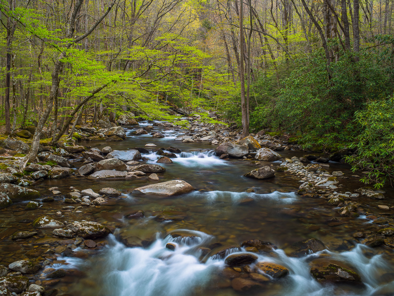 Tennessee's Spring Greens Tranquil rivers flowing with fresh spring greens enshrowding the waters. Soon the rivers will become the tunnels of the landscape...