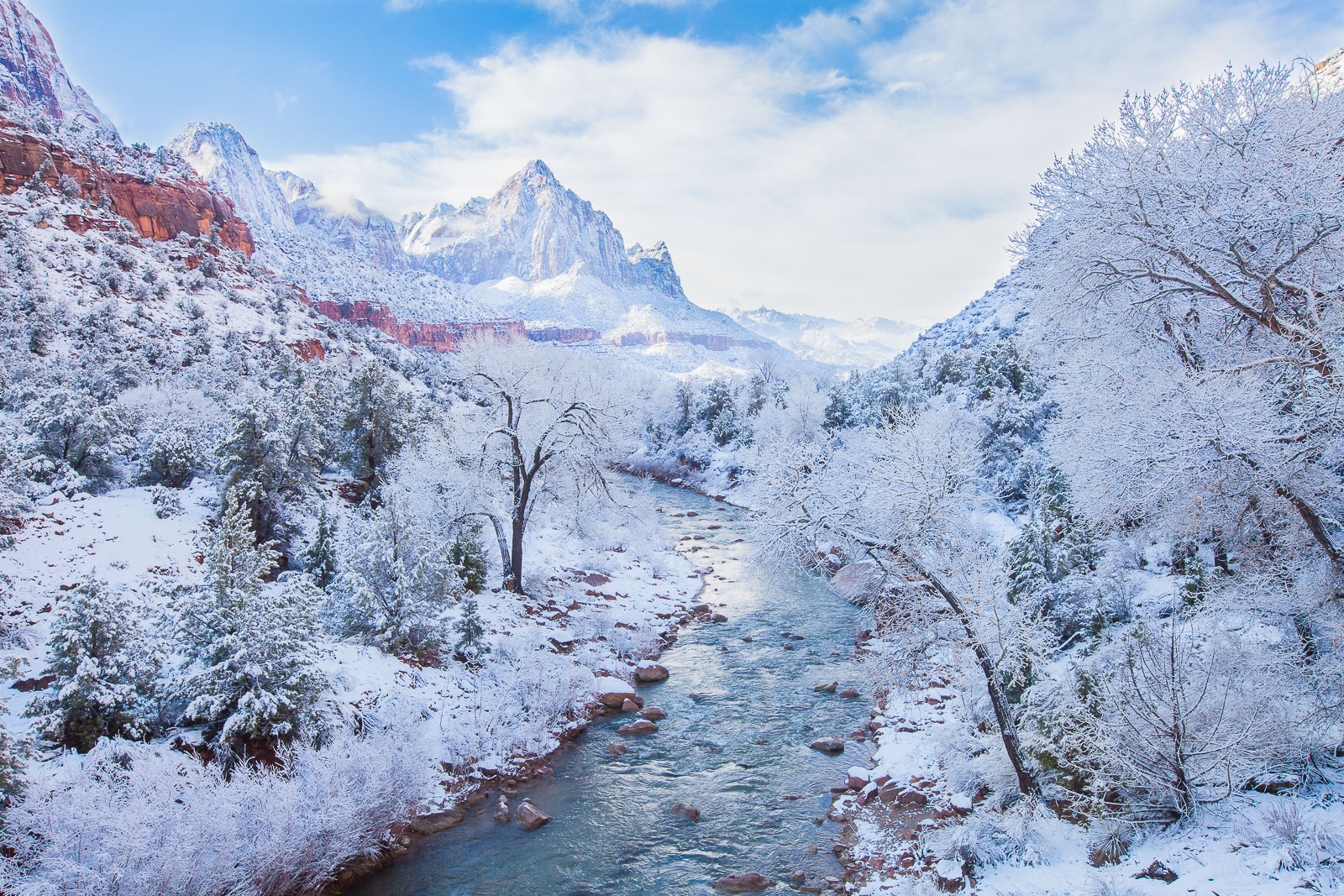 Winter Paradise Zion National Park, Utah Lance B. Carter Photography