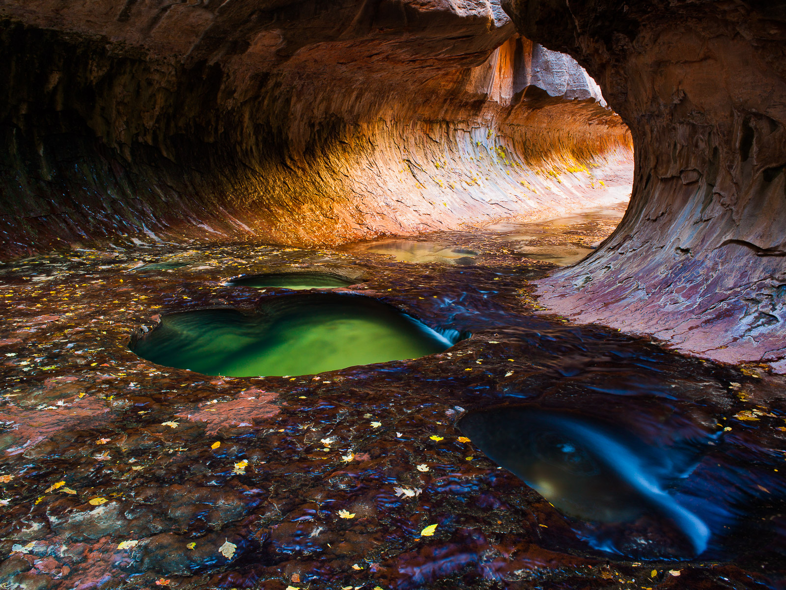 Tunnel dug out be transverse waters glows with the suns light reflected off the canyon's walls.     Zion National Park surely...