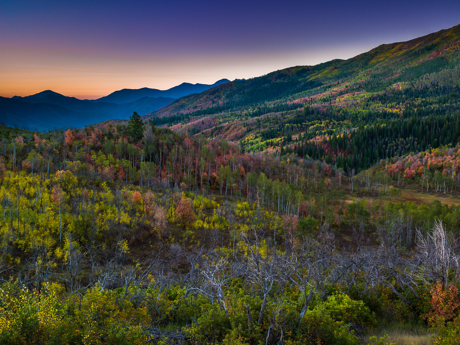 Sunrise in the upper regions of the Uinta National Forest.