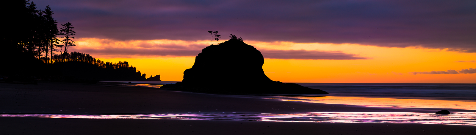 Western coastline offers sea stack silhouettes scattered across the shoreline bathed in purple and gold of the sunrise.