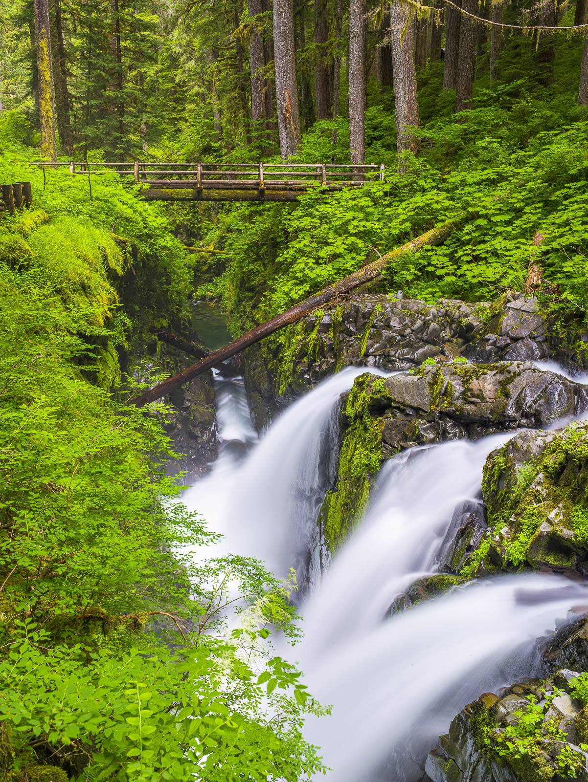 One of Olympic National Parks crown jewel water falls. Presitine waters and fresh early spring greens. An enchanting place.