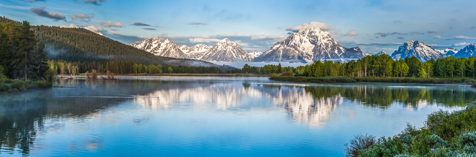 Life flourishes with springtime's new lush greens covering Oxbow Bend shorelines.