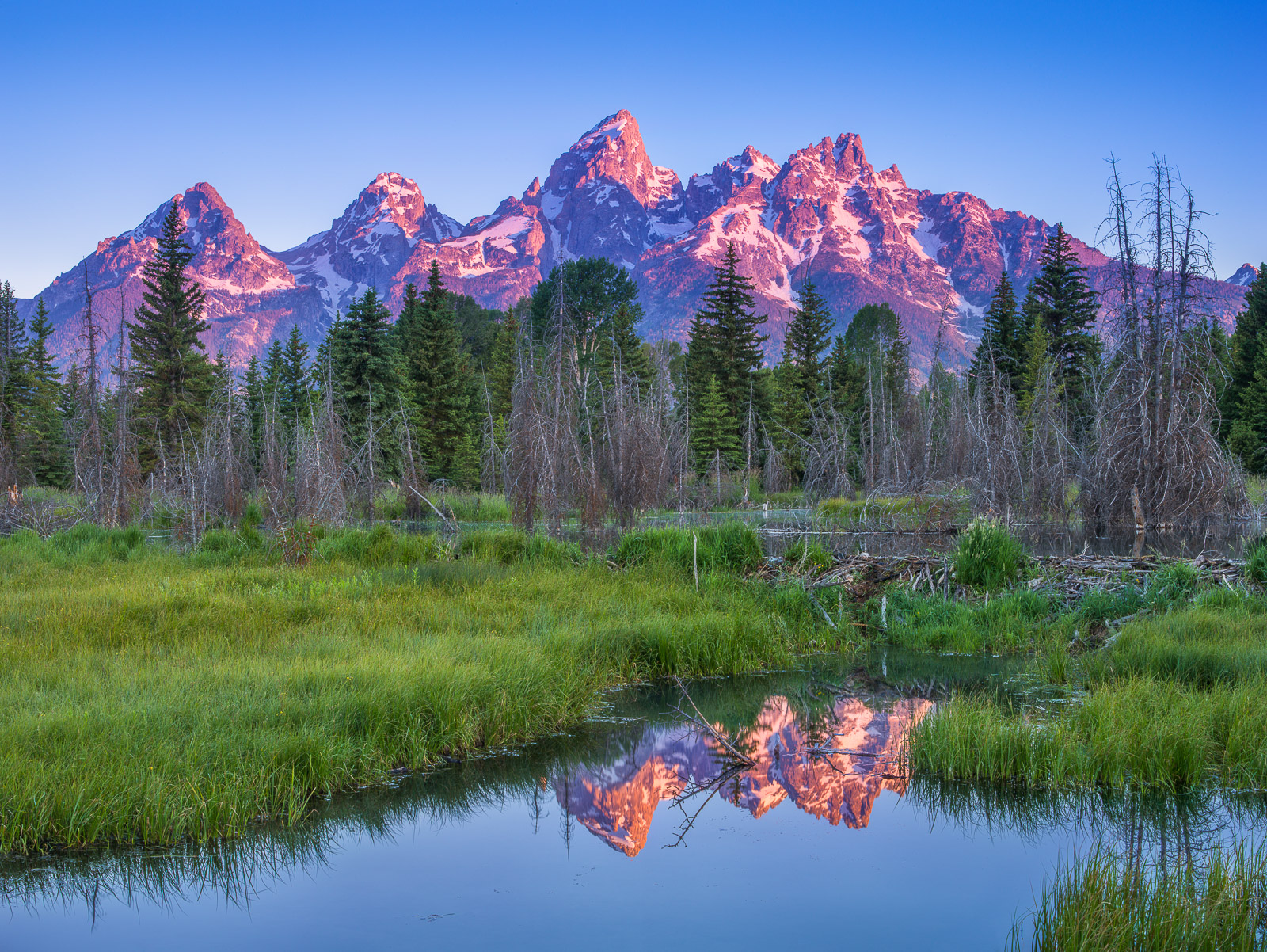 Teton's serving as a back drop to the small beaver damn near Schwabacher road.