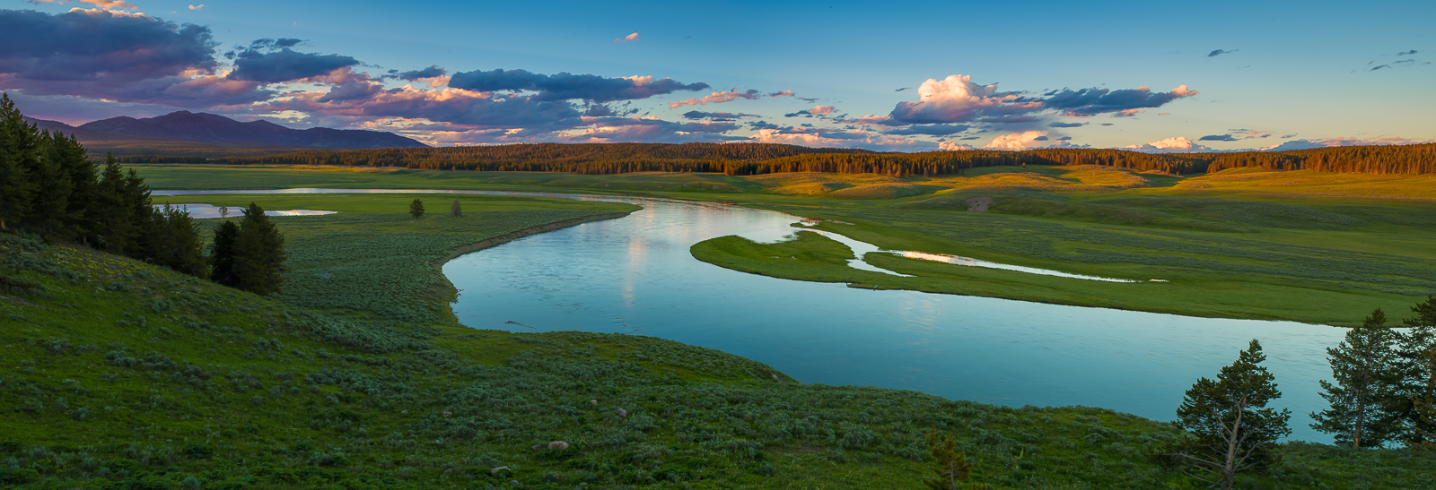 Winding through Hayden Valley the Yellowstone River is a beautiful sight to be seen. This was a quick trip into the park that...